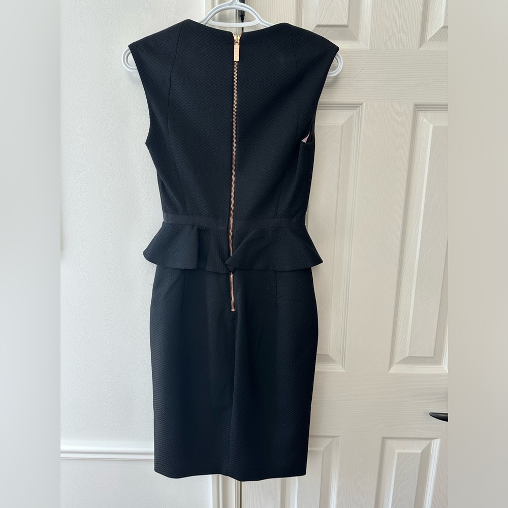 NWOT Ted Baker by London Nadaed Dress 
Size 0 - Picture 5 of 9